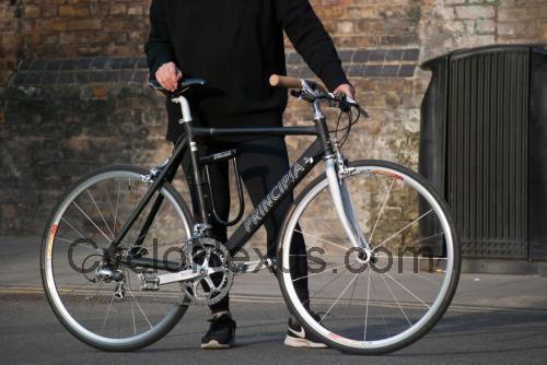 Principia TSL recensioni e scheda tecnica